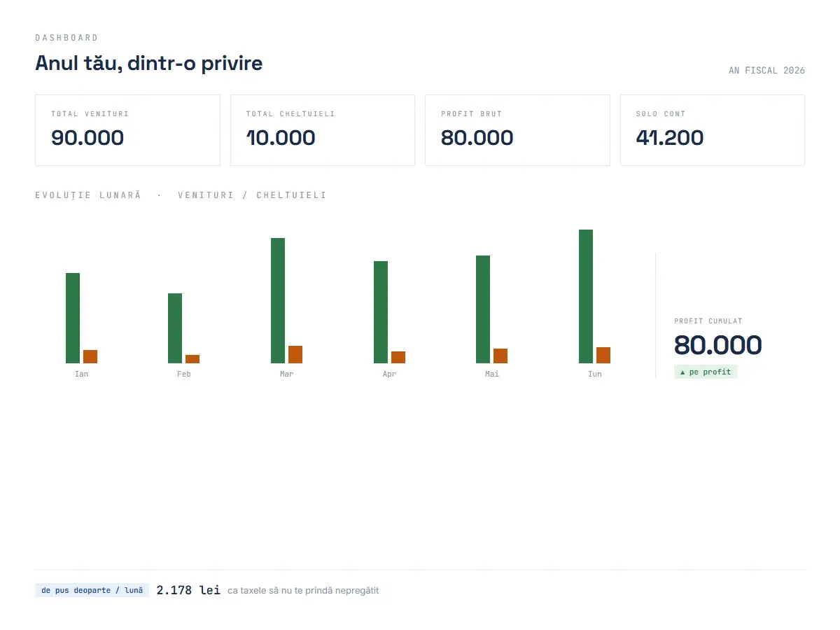 Dashboard: venituri, cheltuieli, profit și evoluția lunară a unui PFA, dintr-o privire
